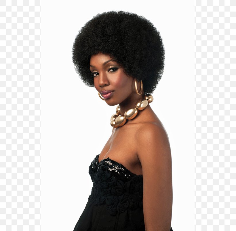Afro Lace Wig Artificial Hair Integrations Hair Iron, PNG, 800x800px, Afro, Afrotextured Hair, Artificial Hair Integrations, Big Hair, Black Hair Download Free