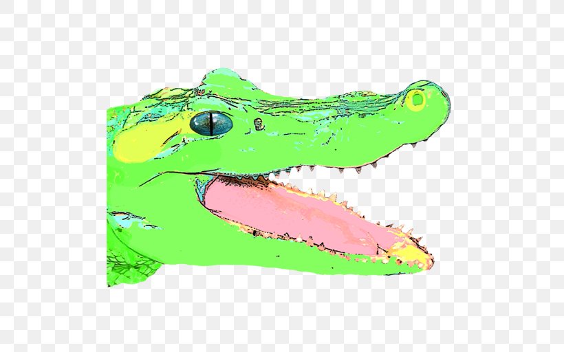 Crocodile Illustration Graphics Shoe Fauna, PNG, 512x512px, Crocodile, Alligator, American Alligator, American Crocodile, Art Download Free