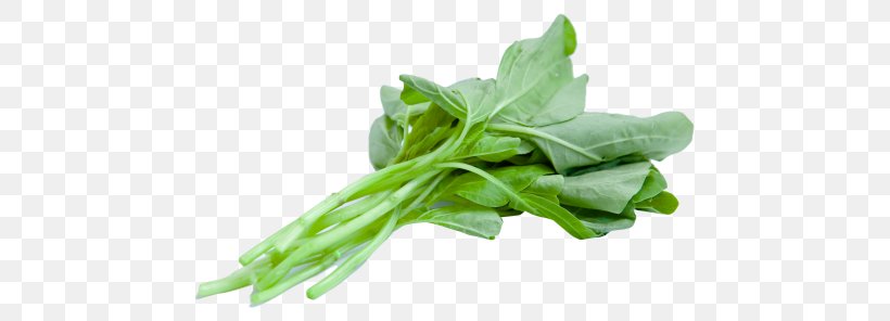 Spinach Leaf Vegetable Food, PNG, 500x296px, Spinach, Chard, Choy Sum, Collard Greens, Food Download Free