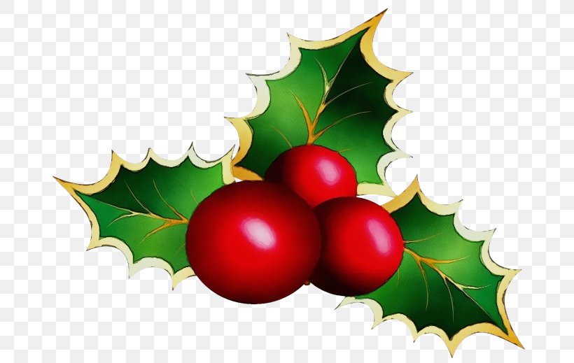 Christmas Tree Watercolor, PNG, 700x519px, Watercolor, American Holly, Christmas, Clip Art Christmas, Common Holly Download Free