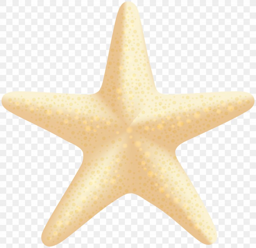 Starfish, PNG, 8000x7752px, Starfish, Beach, Echinoderm, Fish, Invertebrate Download Free