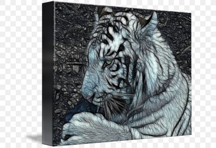 Tiger Cat Whiskers Gallery Wrap Drawing, PNG, 650x560px, Tiger, Art, Big Cat, Big Cats, Black And White Download Free