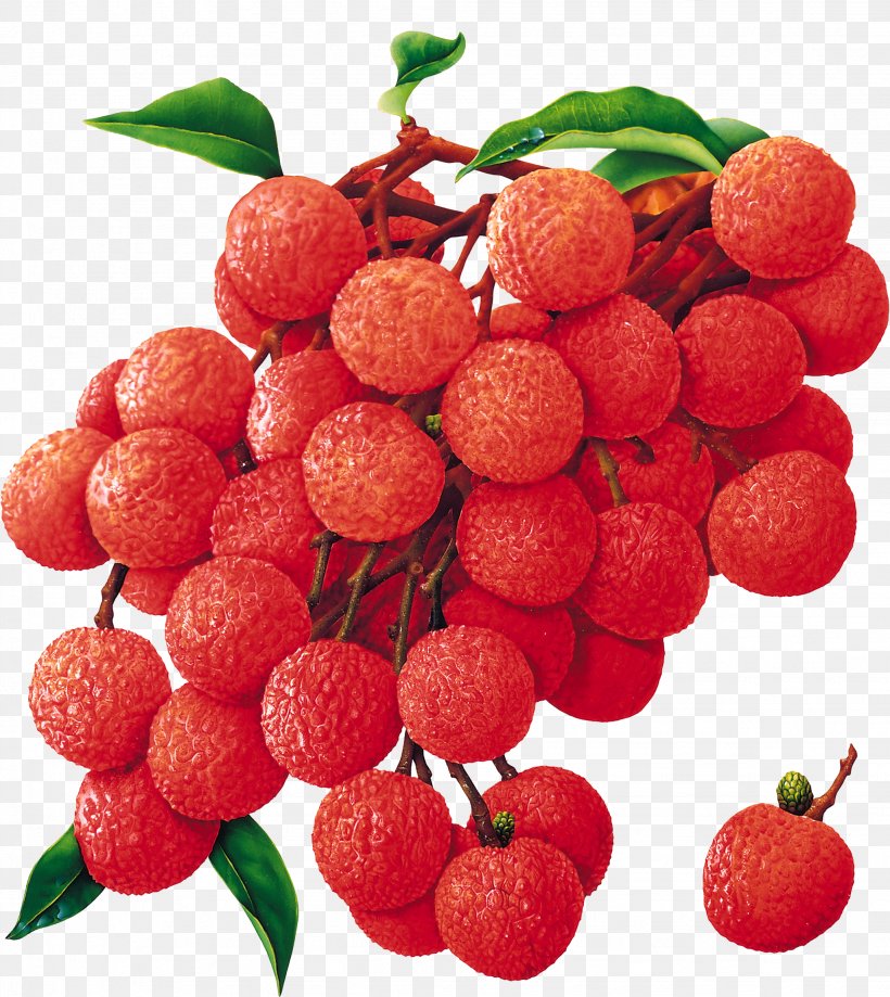 Tropical Fruit Fruit Tree China 3 Lychee Food, PNG, 2047x2296px, Fruit, Accessory Fruit, Berry, Cherry, China 3 Lychee Download Free