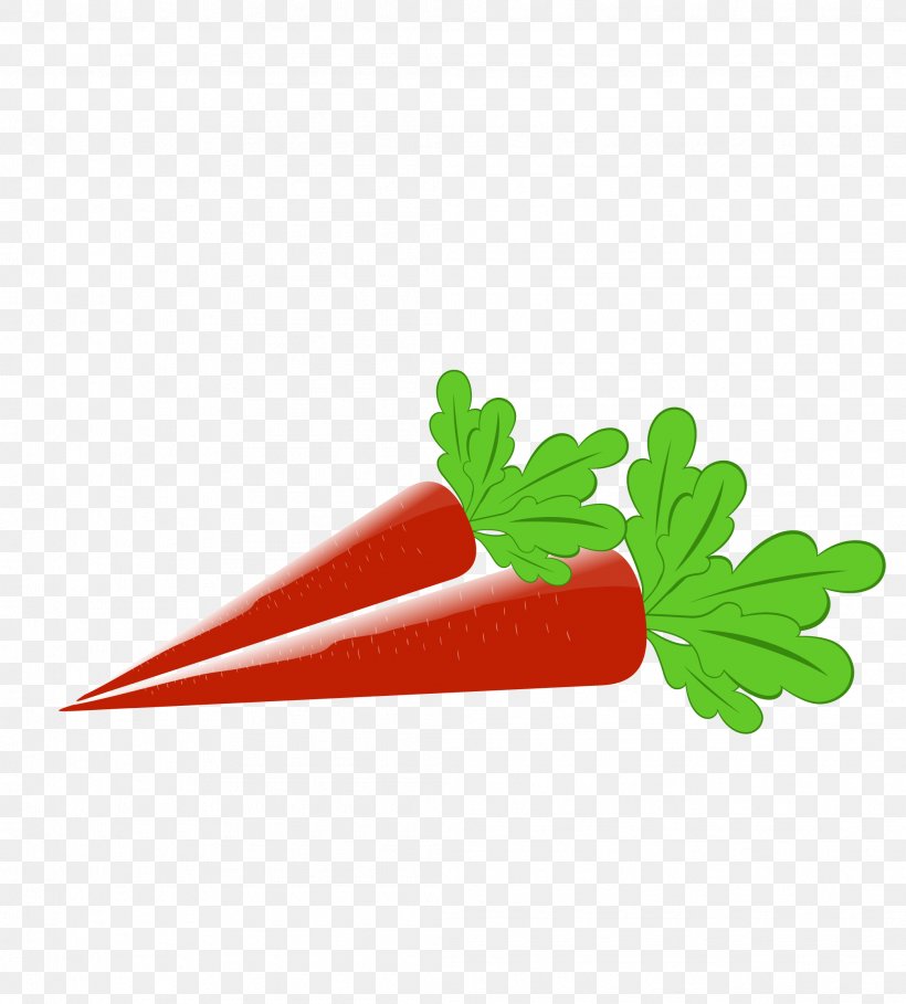Carrot Cartoon Drawing Vegetable, PNG, 2086x2313px, Carrot, Animation, Cartoon, Daucus Carota, Drawing Download Free