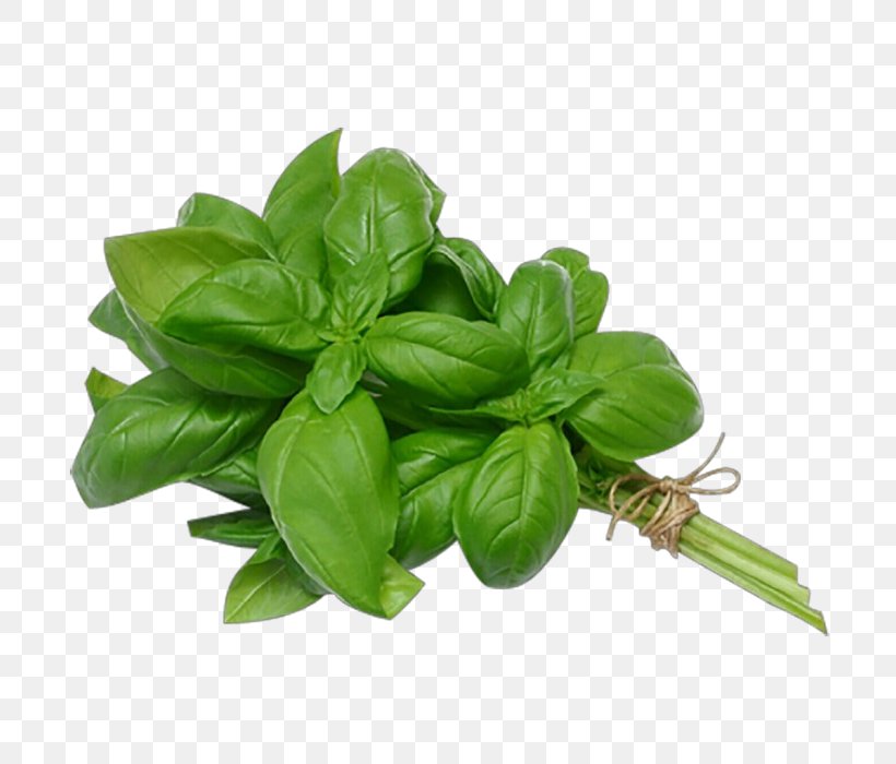 Leaf Basil Plant Flower Herb, PNG, 700x700px, Cartoon, Basil, Fines Herbes, Flower, Food Download Free