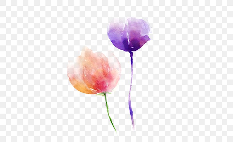Pink Flower Purple Tulip, PNG, 500x500px, Pink, Arumlily, Color, Designer, Flower Download Free