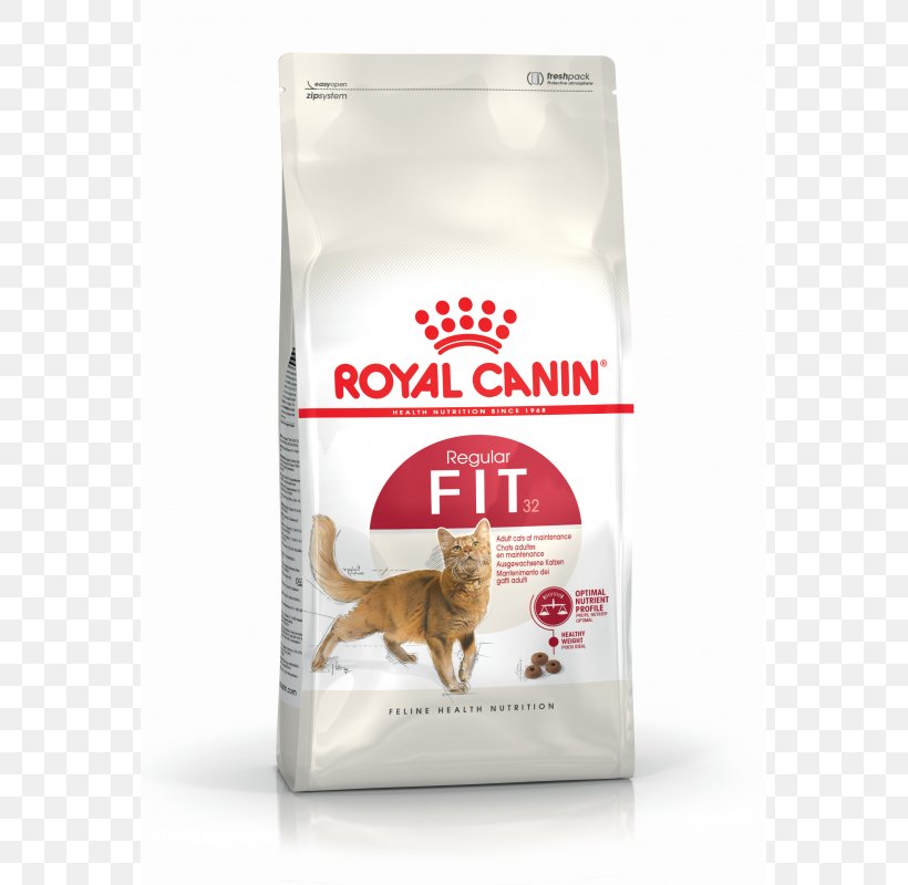 Cat Food Kitten Persian Cat Dog Royal Canin, PNG, 800x800px, Cat Food, Cat, Cat Health, Dog, Food Download Free