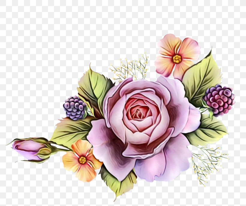 Garden Roses, PNG, 800x685px, Watercolor, Cut Flowers, Flower, Garden Roses, Paint Download Free