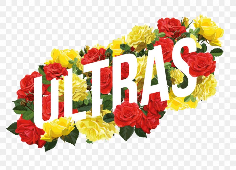 Ultras We Show Up On Radar Album Spotify Phonograph Record, PNG, 1250x904px, Watercolor, Cartoon, Flower, Frame, Heart Download Free