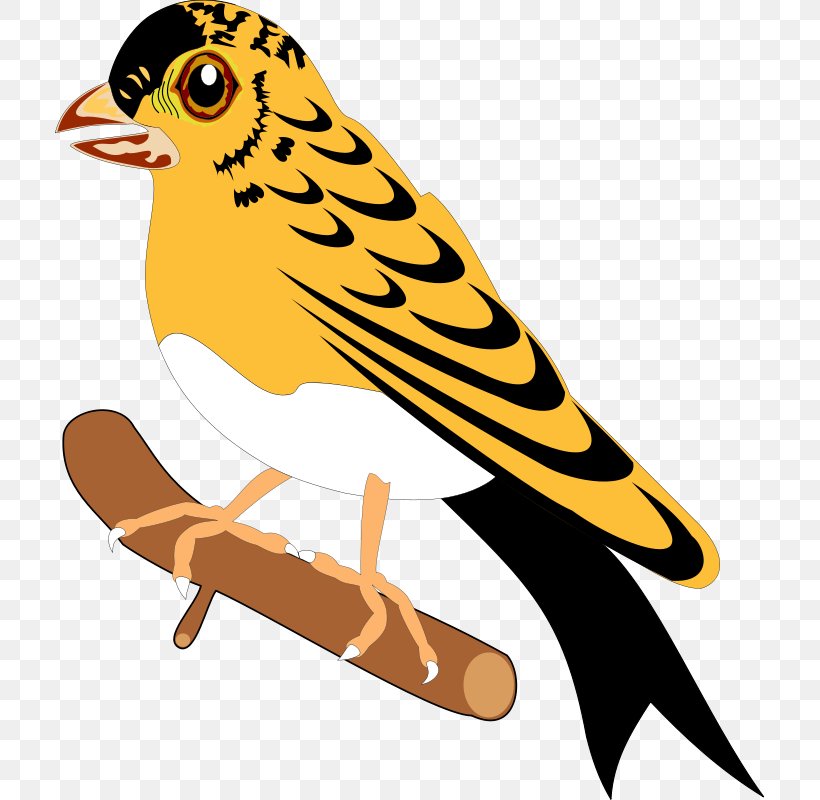 Bird Beak Clip Art, PNG, 709x800px, Bird, Artwork, Autocad Dxf, Beak, Drawing Download Free