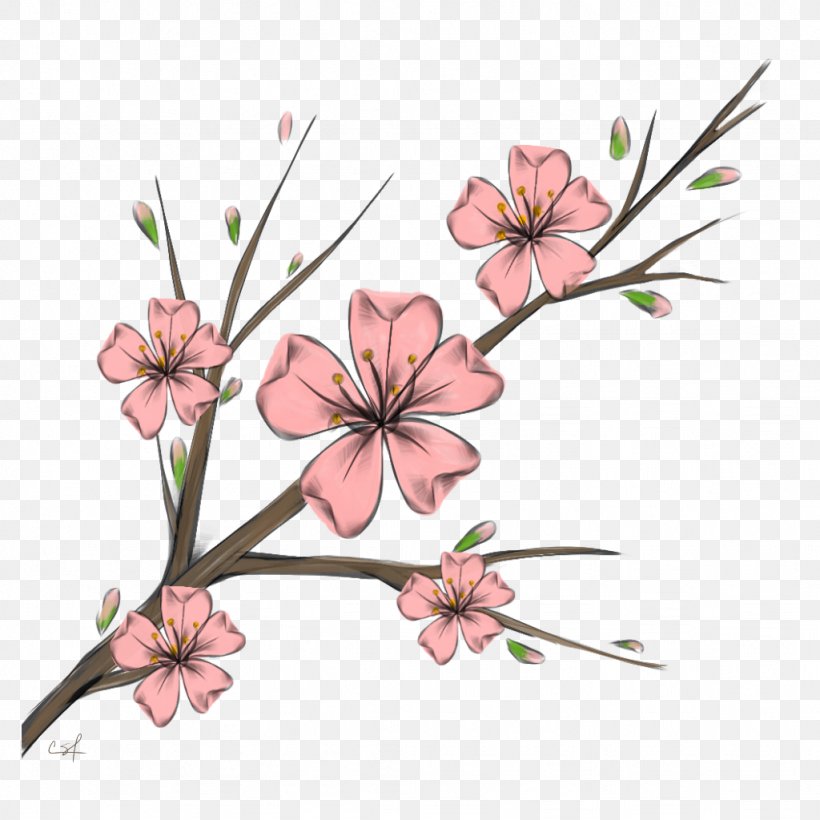 Cherry Blossom Cherries BTS Floral Design, PNG, 1024x1024px, Cherry Blossom, Blossom, Branch, Bts, Cherries Download Free