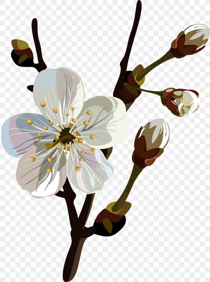 Flower, PNG, 1316x1761px, Flower, Blossom, Branch, Cherry Blossom, Cut Flowers Download Free