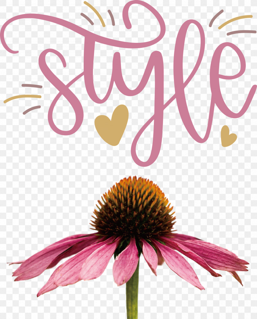 Style Fashion Stylish, PNG, 2410x3000px, Style, Autoimmune Disease, Autoimmunity, Coneflower, Cut Flowers Download Free