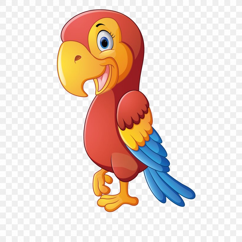 Colorful Parrot, PNG, 1800x1800px, Parrot, Animal, Art, Beak, Bird Download Free