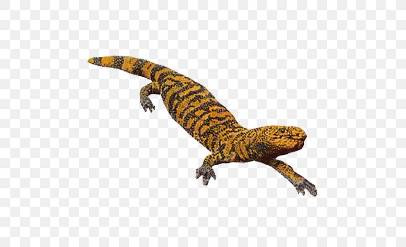Gila Monster Lizard Reptile, PNG, 500x500px, Gila Monster, Amphibian, Dots Per Inch, Fauna, Gecko Download Free