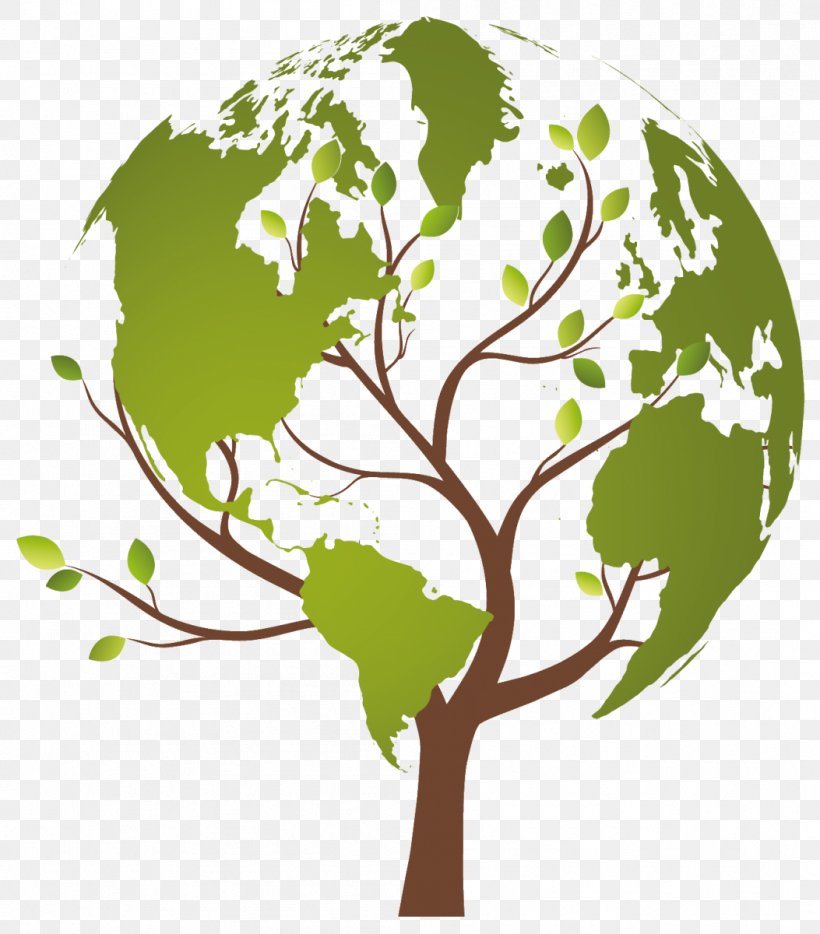 Tree World Map, PNG, 1053x1200px, Tree, Branch, Company, Environment, Flora Download Free