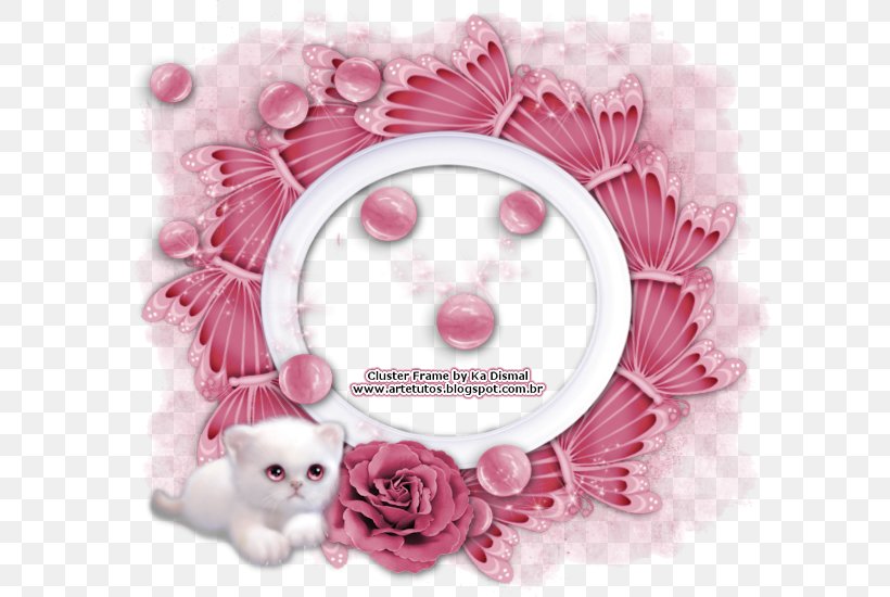 Whiskers Pink M RTV Pink, PNG, 600x550px, Whiskers, Cat, Flower, Nose, Petal Download Free