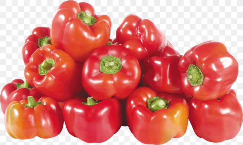 Bell Pepper Chili Pepper Black Pepper Transparency, PNG, 850x508px, Bell Pepper, Accessory Fruit, Acerola, Acerola Family, Bell Peppers And Chili Peppers Download Free