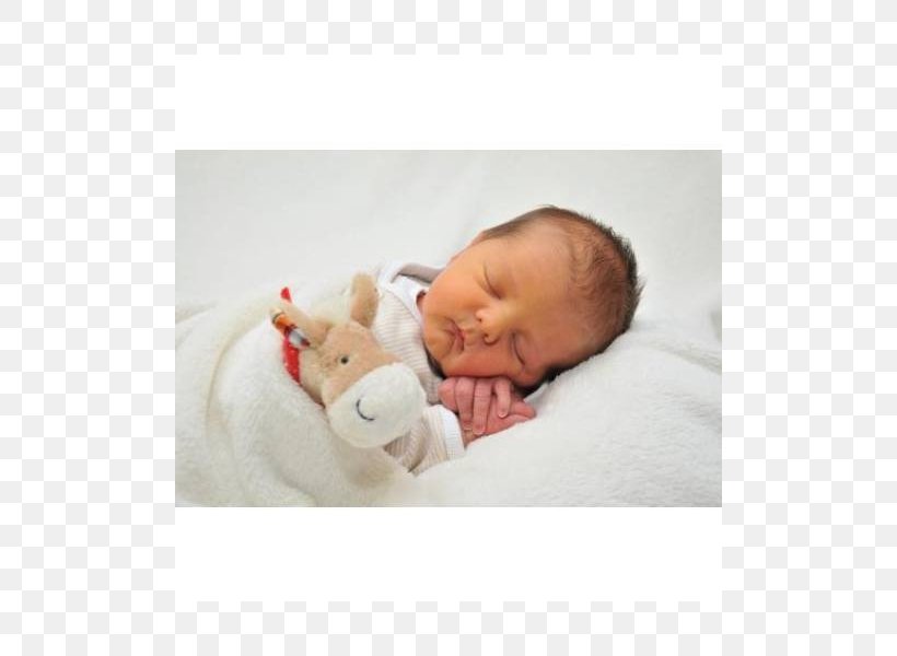 Infant Textile Stuffed Animals & Cuddly Toys Toddler Beige, PNG, 800x600px, Infant, Beige, Child, Comfort, Ear Download Free