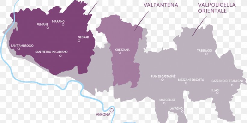 Valpolicella Red Wine Amarone Common Grape Vine, PNG, 1000x500px, Valpolicella, Amarone, Common Grape Vine, Map, Purple Download Free