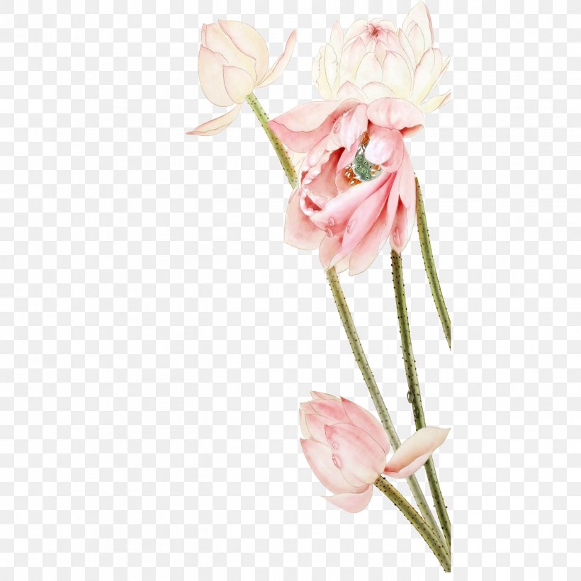 Floral Design Nelumbo Nucifera Pink, PNG, 1417x1417px, Floral Design, Artificial Flower, Blue, Cut Flowers, Floristry Download Free