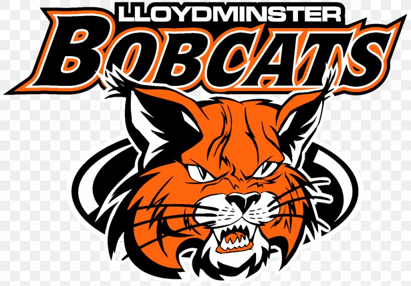 Lloydminster Bobcats Lloydminster Jr A Bobcats Ice Hockey Alberta Junior Hockey League 2016 Royal Bank Cup, PNG, 1024x713px, Lloydminster Bobcats, Alberta, Alberta Junior Hockey League, Big Cats, Bobcat Download Free