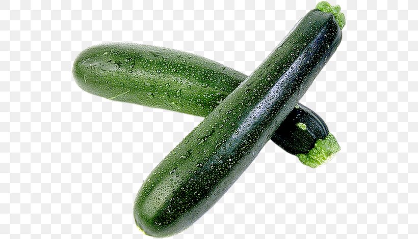 Zucchini Kolokythopita Summer Squash Recipe Vegetable, PNG, 540x470px, Zucchini, Casserole, Cucumber, Cucumber Gourd And Melon Family, Cucumis Download Free