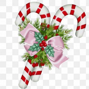 Christmas Eve Holly - Christmas Decoration Cartoon PNG