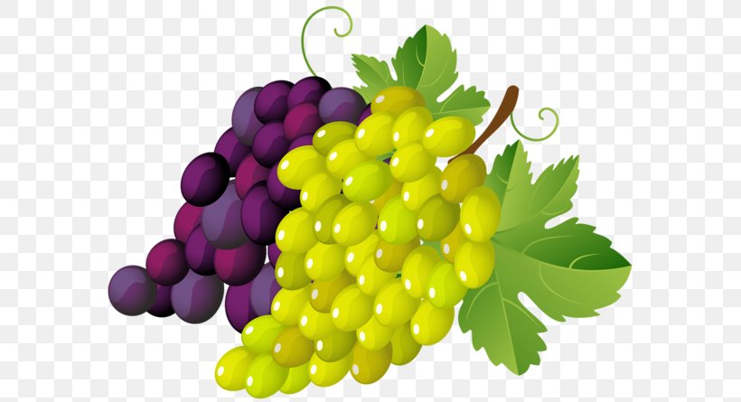 Common Grape Vine Wine Grape Leaves Clip Art, PNG, 600x445px, Common Grape Vine, Blog, Food, Free Content, Fruit Download Free