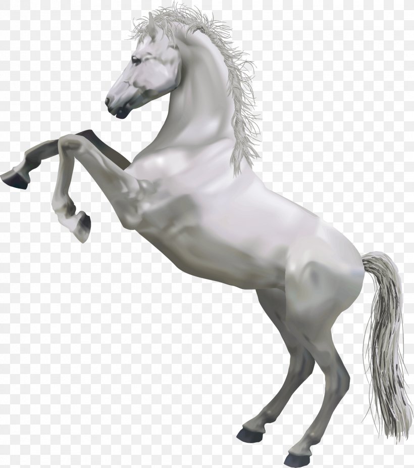 Horse Clip Art, PNG, 2019x2281px, Horse, Black And White, Horse Like Mammal, Horse Tack, Image File Formats Download Free