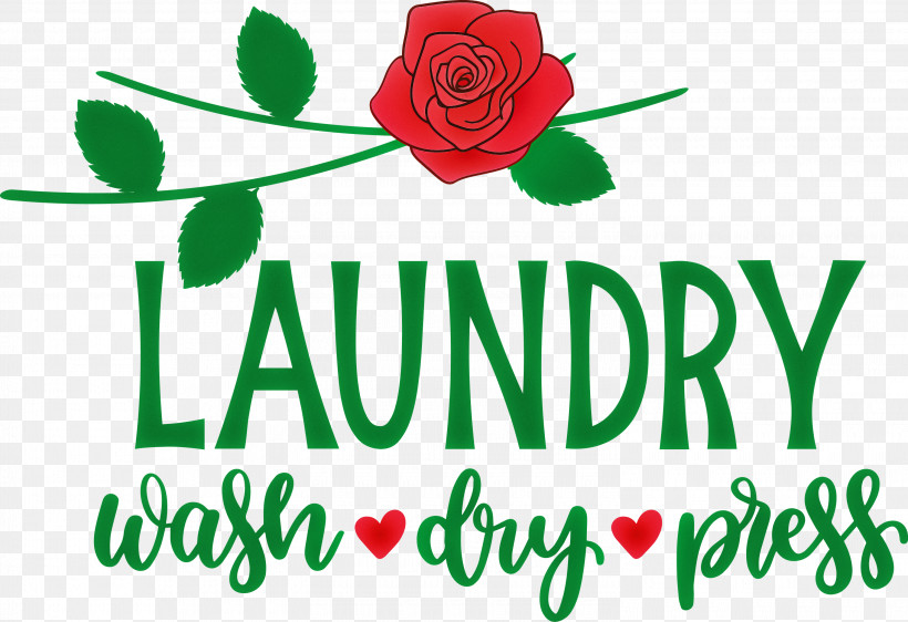 Laundry Wash Dry, PNG, 3000x2057px, Laundry, Cut Flowers, Dry, Floral Design, Flower Download Free