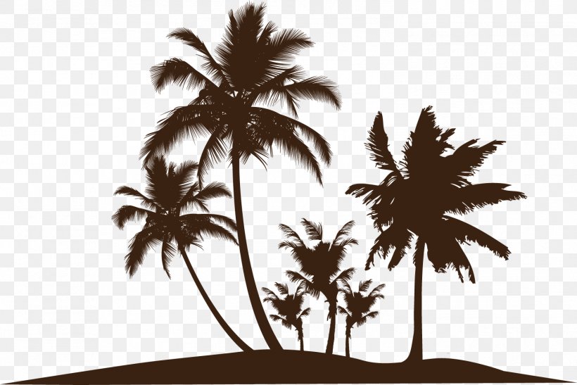 Wall Decal Arecaceae Sticker, PNG, 1498x1001px, Wall Decal, Arecaceae, Arecales, Black And White, Bronze Download Free