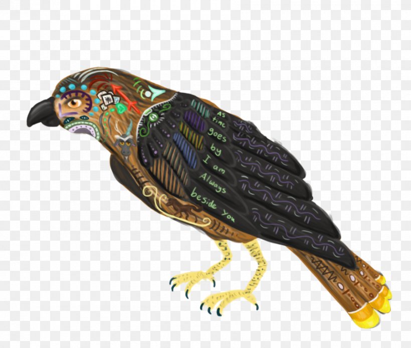Beak Parrot Bird Of Prey Feather, PNG, 900x762px, Beak, Bird, Bird Of Prey, Fauna, Feather Download Free