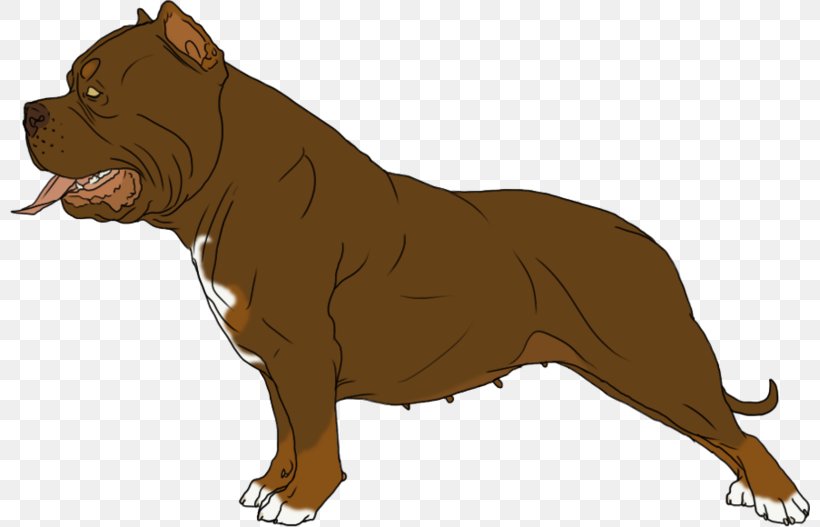 Dog Breed Non-sporting Group Breed Group (dog) Snout, PNG, 800x527px, Dog Breed, Breed, Breed Group Dog, Carnivoran, Cartoon Download Free