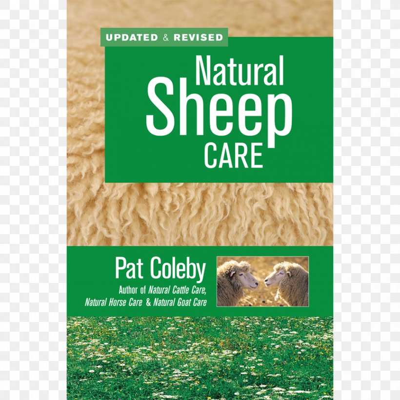 Natural Sheep Care Natural Goat Care Shetland Sheep Livestock, PNG, 864x864px, Goat, Advertising, Animal Husbandry, Barnes Noble, Book Download Free