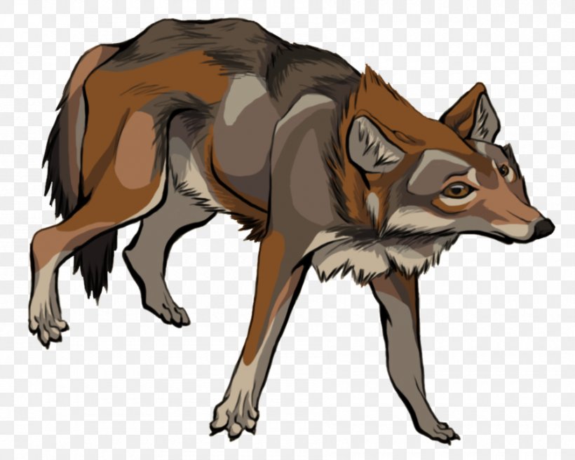 Red Fox Gray Wolf Coyote Jackal Red Wolf, PNG, 900x721px, Red Fox, Carnivoran, Cartoon, Character, Coyote Download Free
