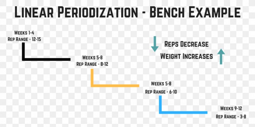 Sports Periodization Strength Training, PNG, 1024x512px, Sports Periodization, Area, Bench Press, Brand, Definition Download Free