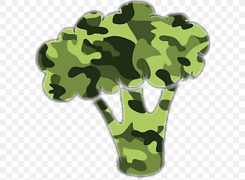 TeamBrocoli Desktop Wallpaper Camouflage Wallpaper, PNG, 586x604px, Camouflage, Adhesive, Computer, Grass, Green Download Free