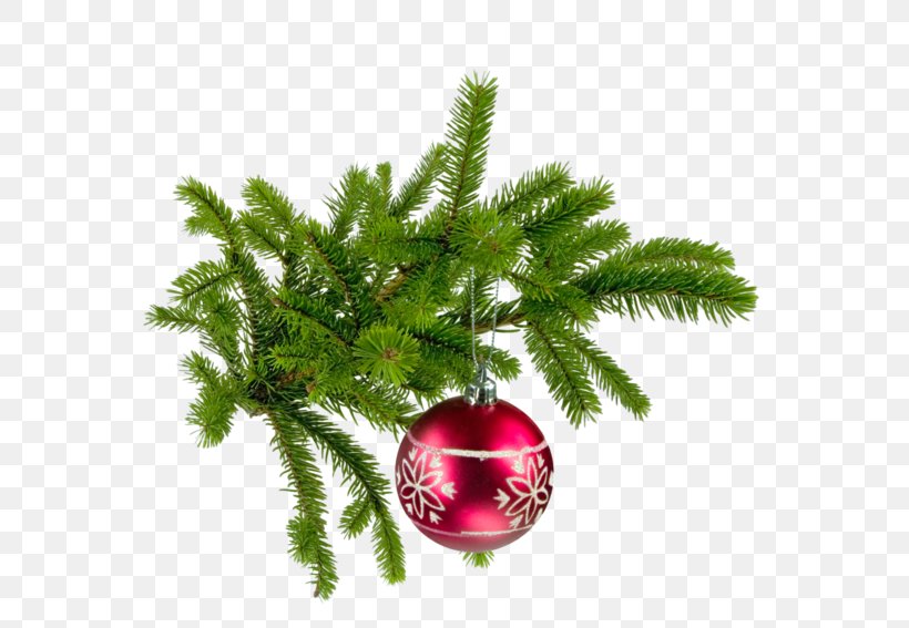 Christmas Bombka Fir Au Chant Des Oiseaux, PNG, 600x567px, Christmas, Bombka, Branch, Christmas Decoration, Christmas Ornament Download Free
