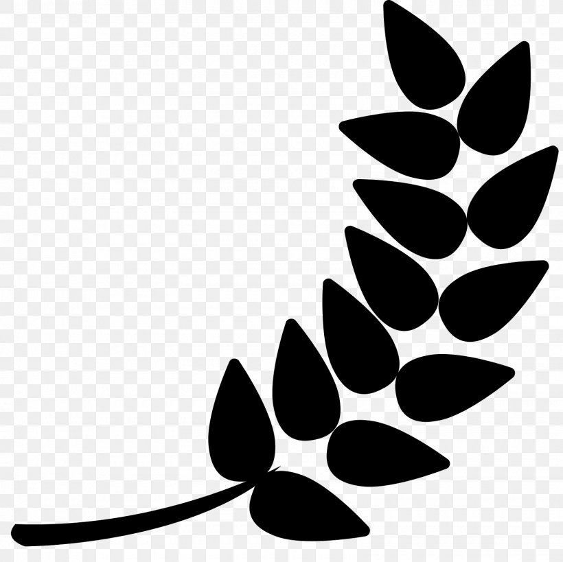 Download Clip Art, PNG, 1600x1600px, Branch, Artwork, Barley, Black, Black And White Download Free