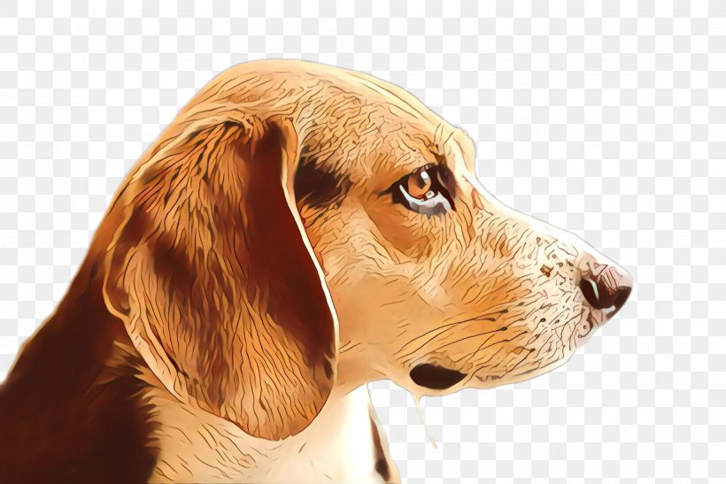 Dog Cartoon, PNG, 2448x1635px, Cartoon, Beagle, Breed, Closeup, Companion Dog Download Free