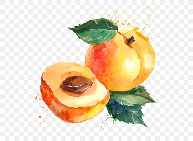 Eating Seasonal Food Health Produce, PNG, 600x600px, Eating, Apple, Apricot, Cooking, Dish Download Free