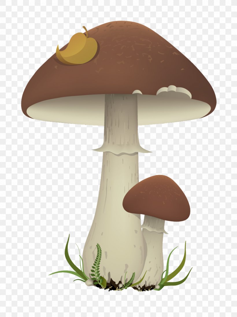 Edible Mushroom Clip Art, PNG, 860x1150px, Mushroom, Chanterelle, Edible Mushroom, Fungus, Lamp Download Free