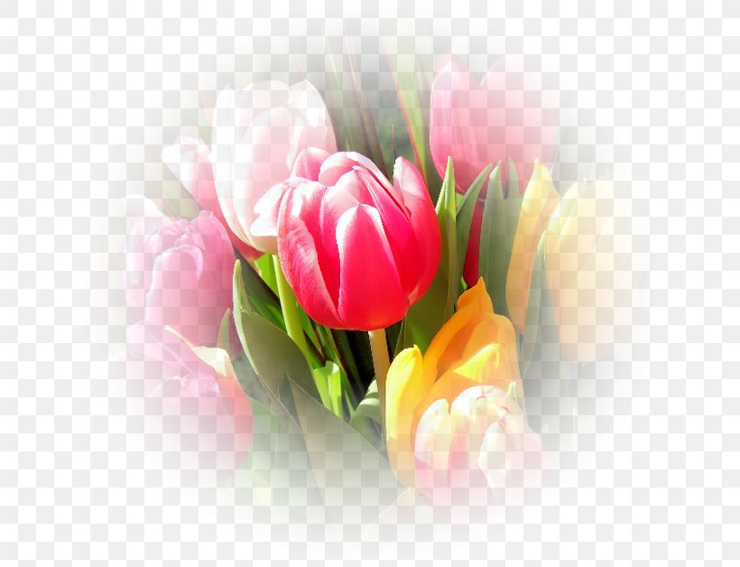 Flower Bouquet Photography Tulipa Turkestanica Pink Flowers, PNG, 650x628px, Flower, Artificial Flower, Cut Flowers, Drawing, Floral Design Download Free