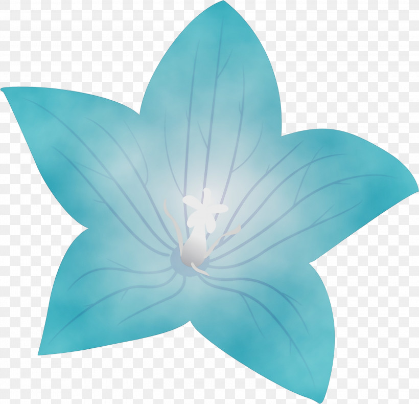 Leaf Turquoise M Symmetry Petal Microsoft Azure, PNG, 3000x2892px, Balloon Flower, Biology, Geometry, Leaf, Mathematics Download Free