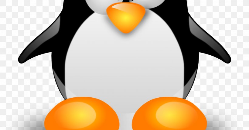 Linux: The Ultimate Beginner's Guide! Installation Linux Kernel Operating Systems, PNG, 1110x583px, Linux, Beak, Bird, Centos, Egg Download Free