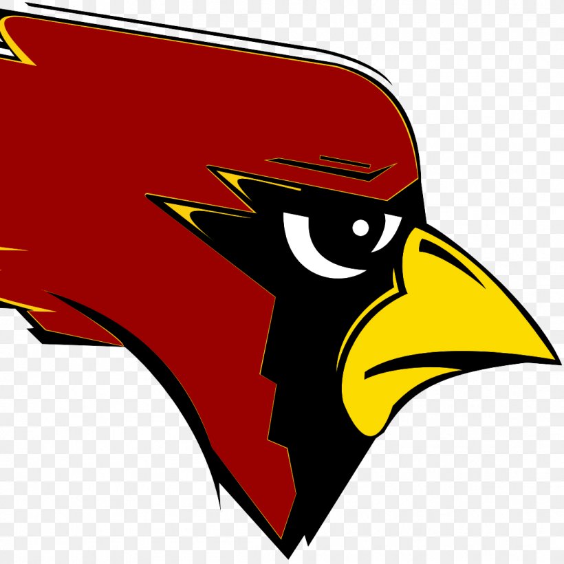 New Bremen High School St. Louis Cardinals Gymnasium, PNG, 1104x1104px, School, Art, Artwork, Beak, Bird Download Free