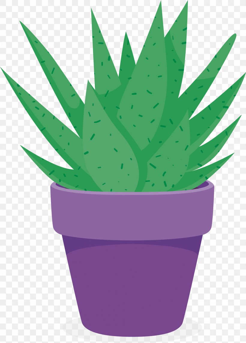 Aloe Vera Purple Flowerpot Plant, PNG, 2001x2796px, Aloe Vera, Aloe, Bonsai, Flower, Flowerpot Download Free
