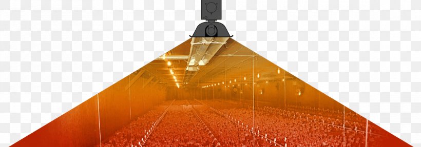 Product Design Ceiling Light Fixture, PNG, 1140x399px, Ceiling, Ceiling Fixture, Light Fixture, Lighting, Orange Download Free