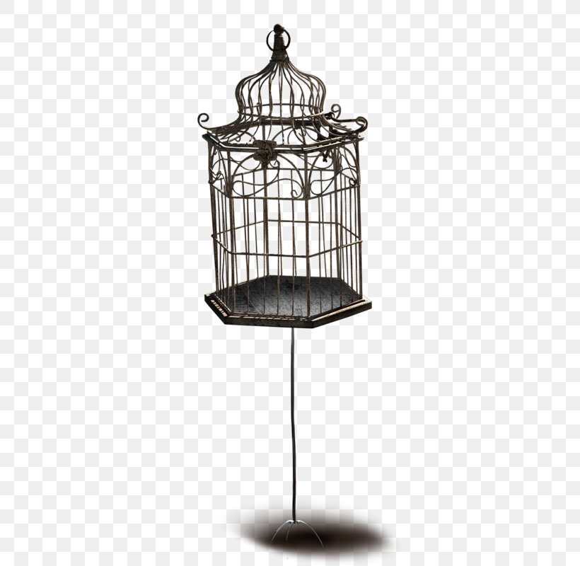 Birdcage, PNG, 462x800px, Cage, Bird, Birdcage, Cover Art, Designer Download Free
